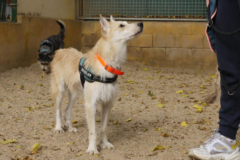 multimedia-foto91892-577-1