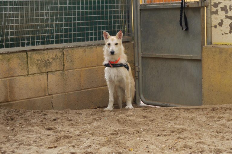 multimedia-foto91893-578-1