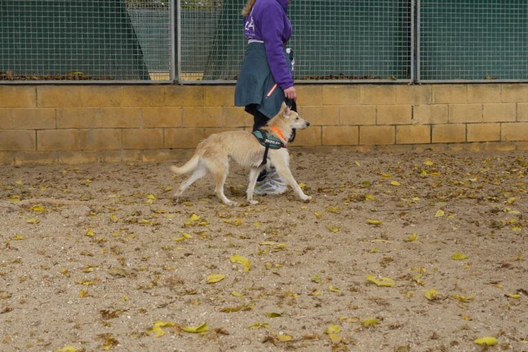 multimedia-foto91894-578-1