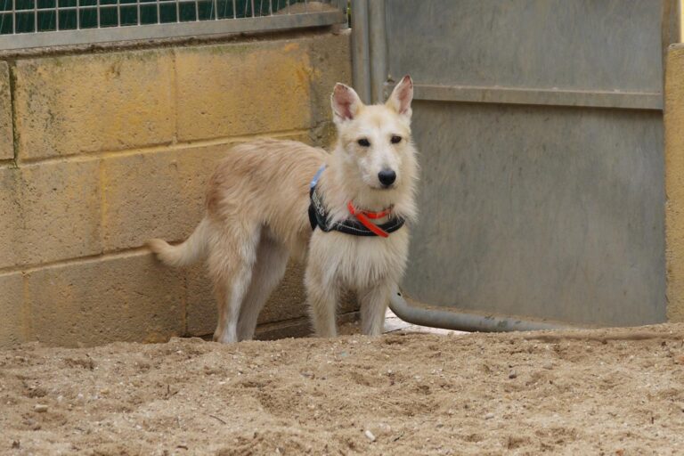 multimedia-foto91895-578-1