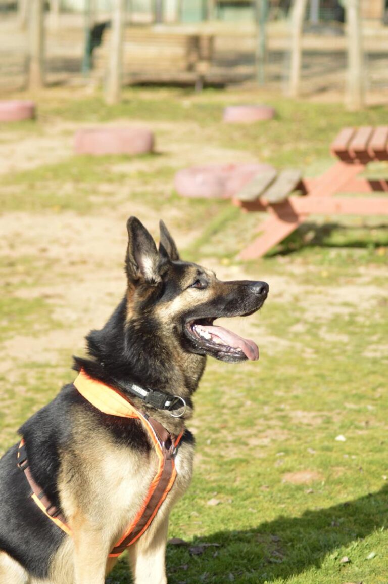 multimedia-foto91921-1000-1