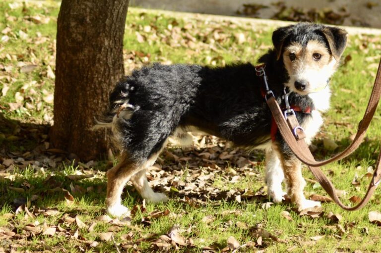 multimedia-foto91927-165-1