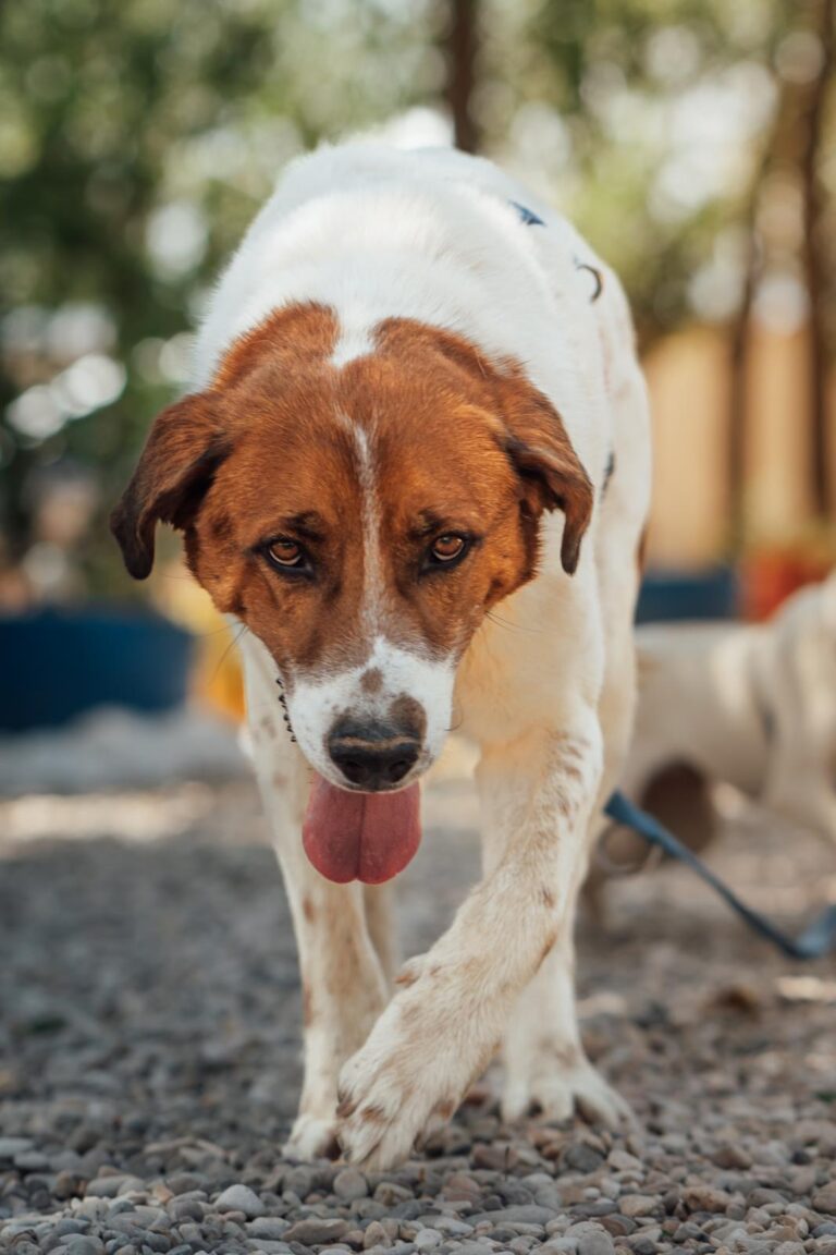 multimedia-foto91929-721-1