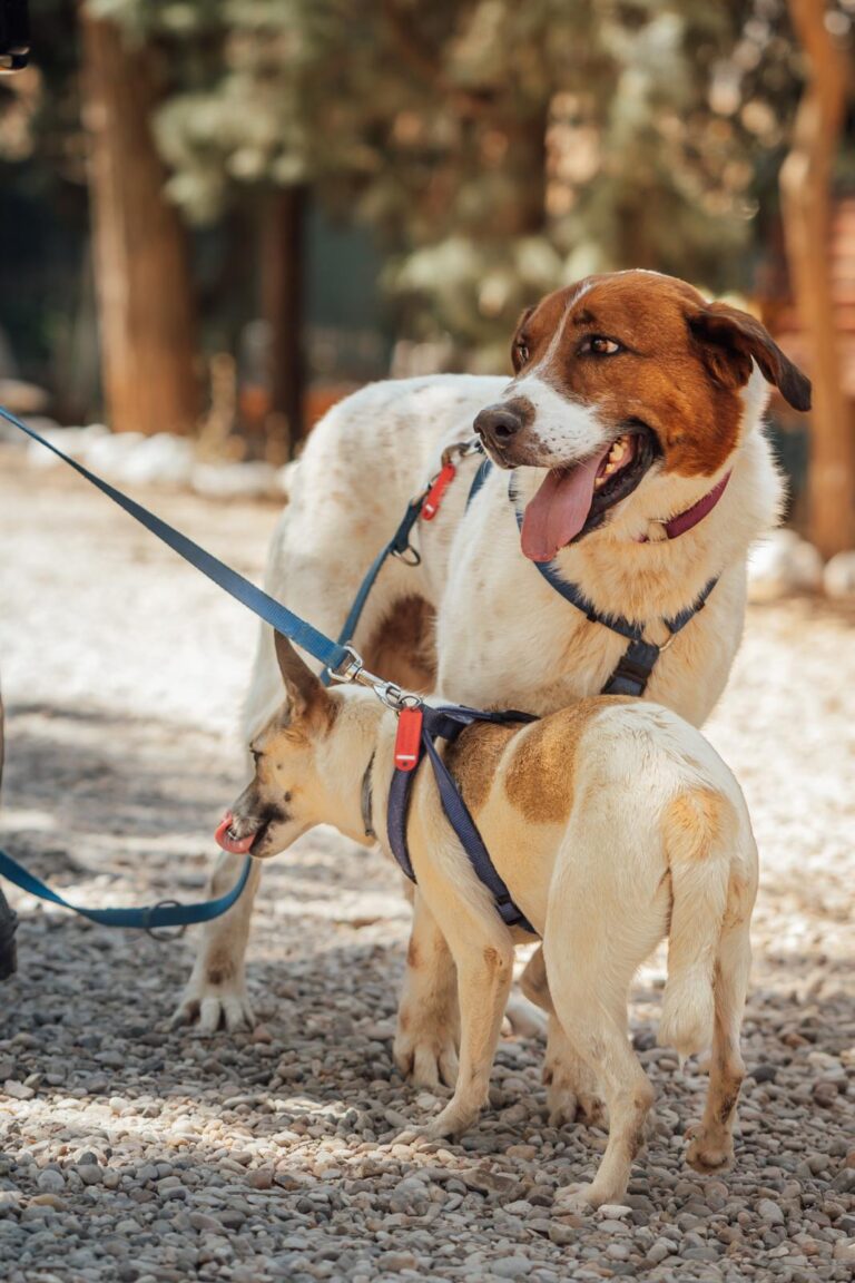 multimedia-foto91930-721-1