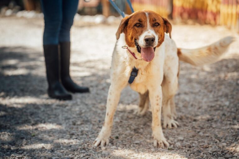 multimedia-foto91931-721-1