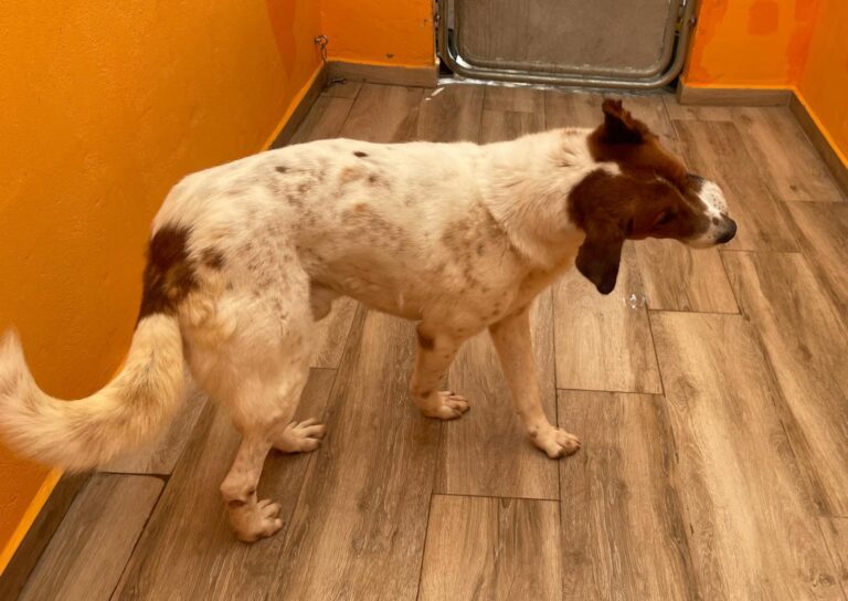 multimedia-foto91933-722-1