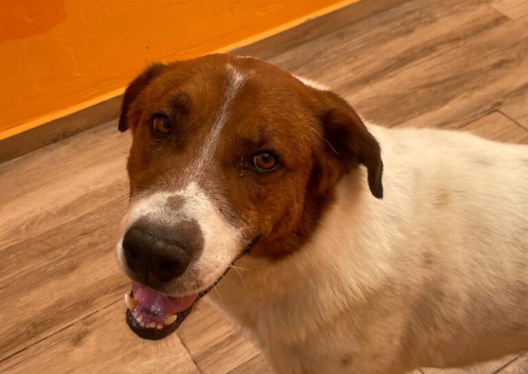 multimedia-foto91934-722-1