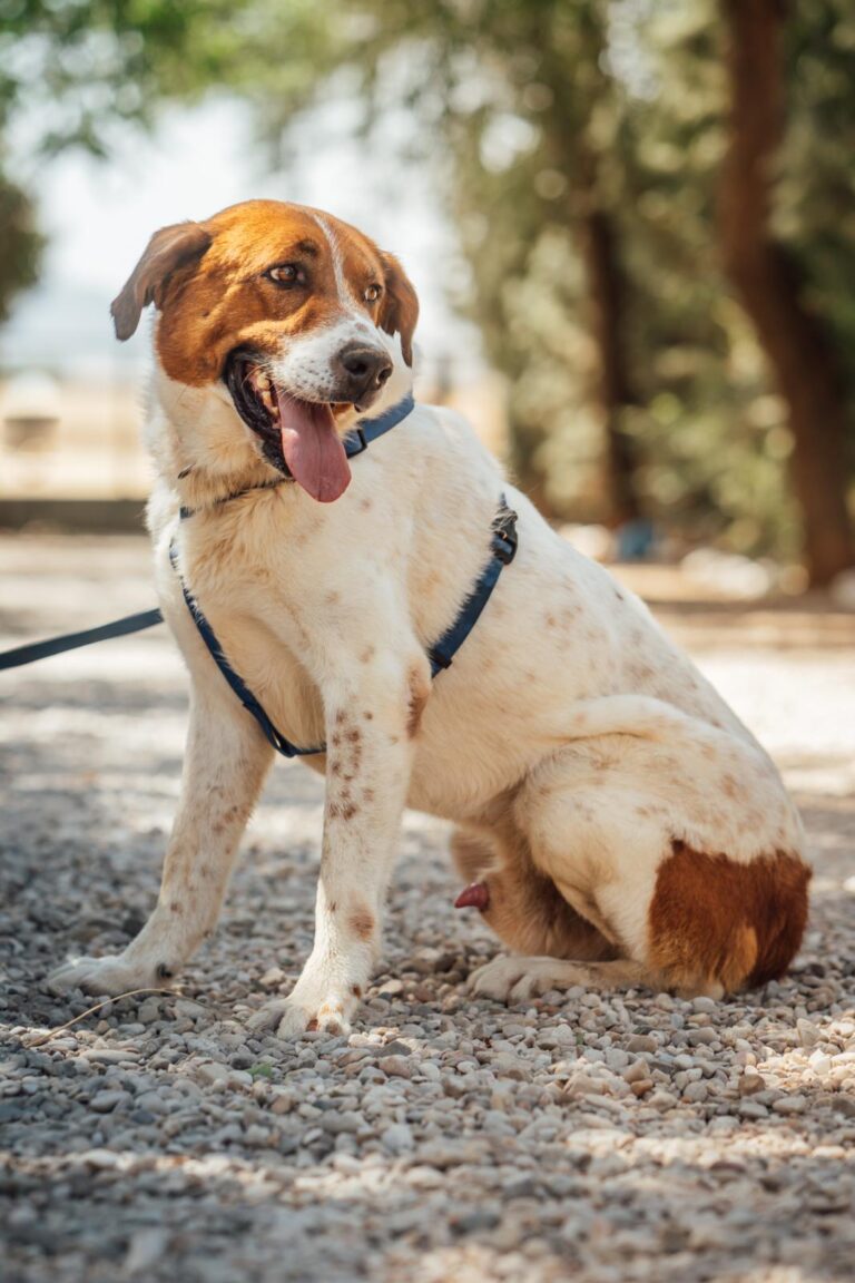 multimedia-foto91935-722-1