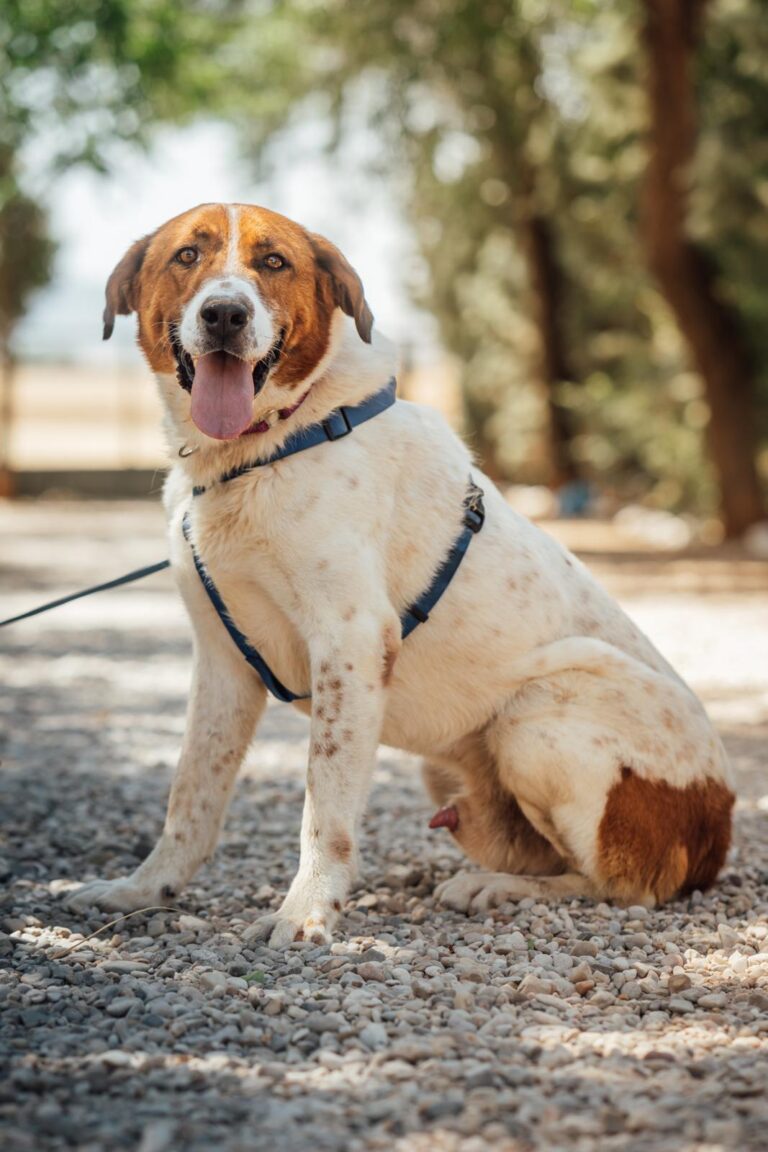 multimedia-foto91936-722-1