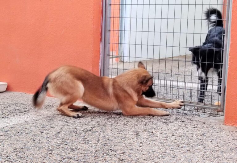 multimedia-foto91940-654-1