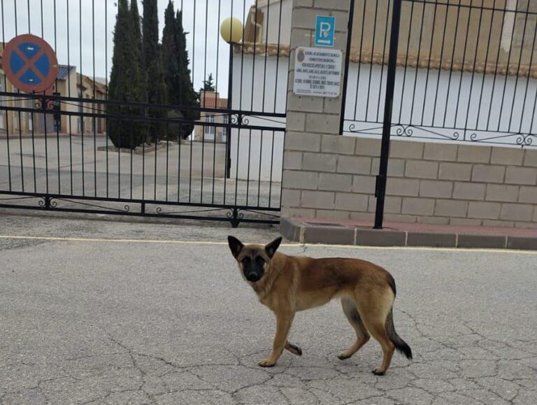 multimedia-foto91941-654-1