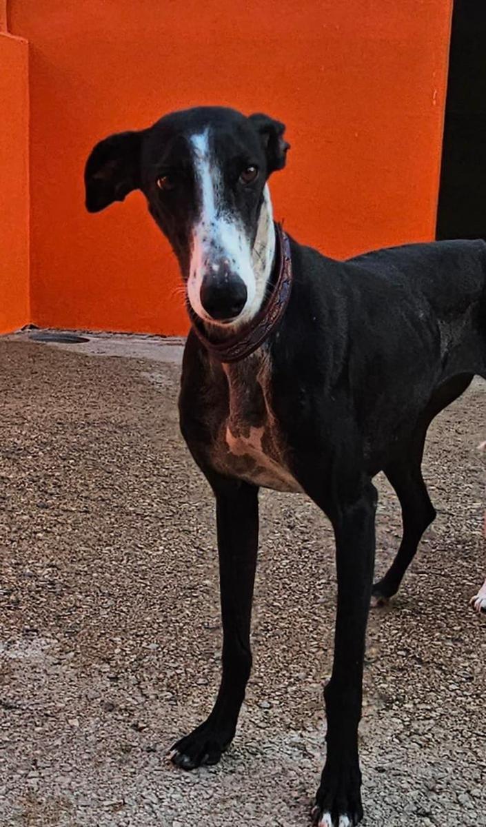 multimedia-foto91987-121-1