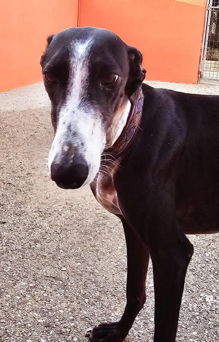 multimedia-foto91989-121-1