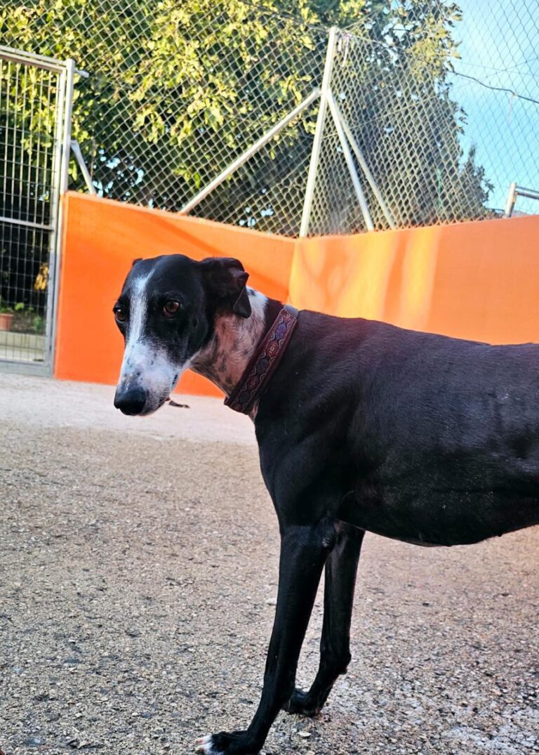 multimedia-foto91990-121-1