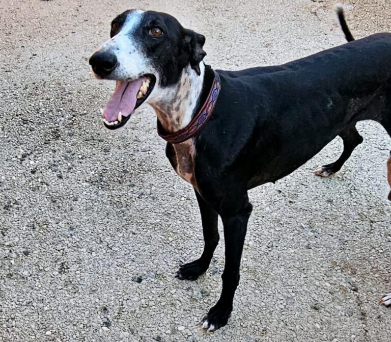 multimedia-foto91991-122-1