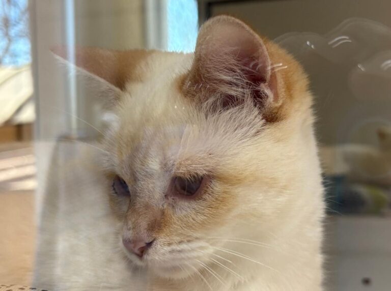 multimedia-foto91993-14-1