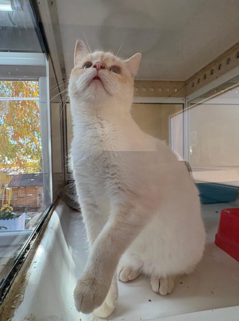 multimedia-foto91994-14-1