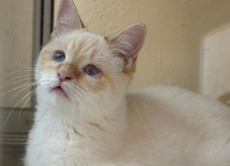 multimedia-foto91995-14-1