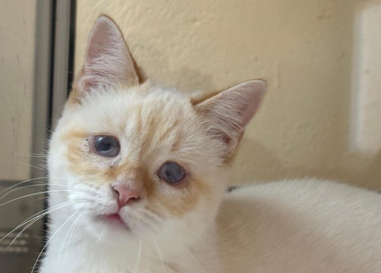 multimedia-foto91996-15-1