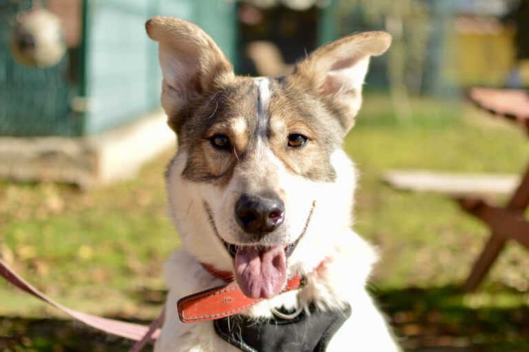 multimedia-foto91997-804-1