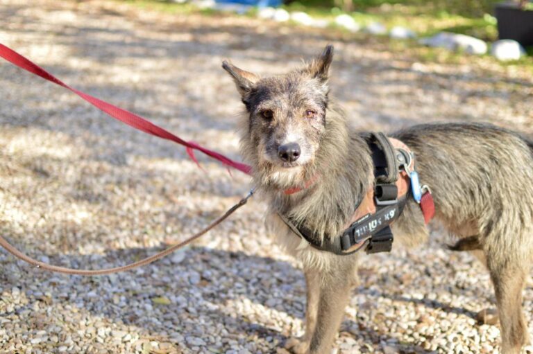 multimedia-foto91999-851-1