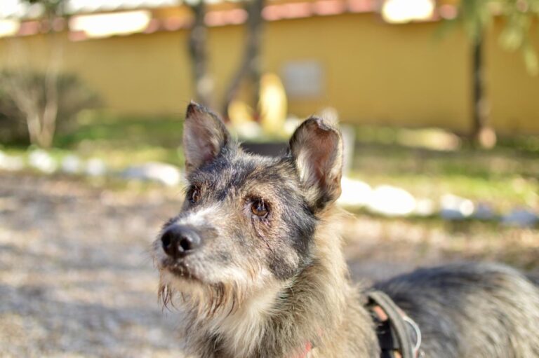 multimedia-foto92001-851-1