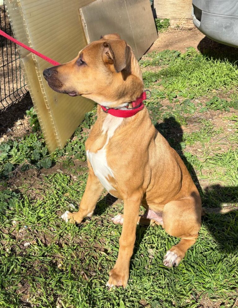 multimedia-foto92007-360-1