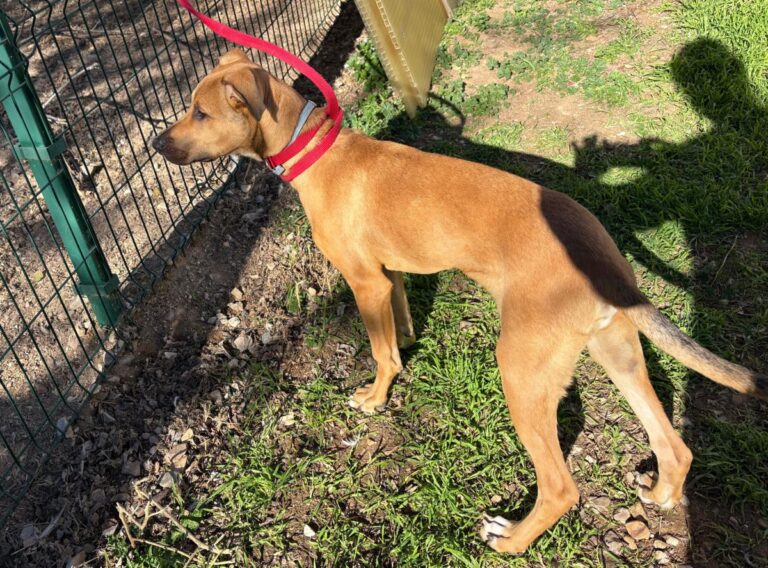 multimedia-foto92008-360-1