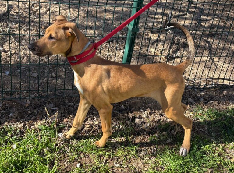 multimedia-foto92009-361-1