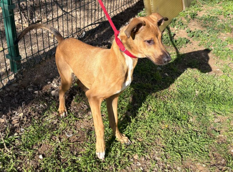 multimedia-foto92010-361-1