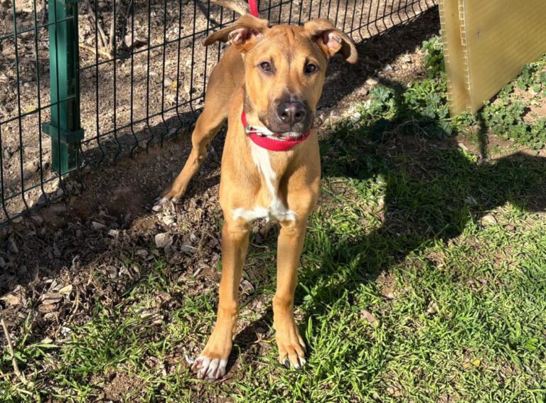 multimedia-foto92011-361-1