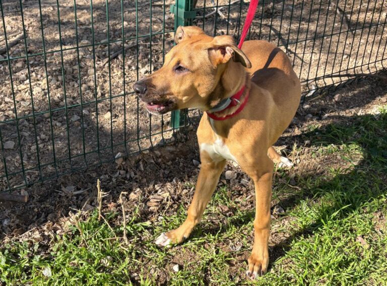 multimedia-foto92013-361-1