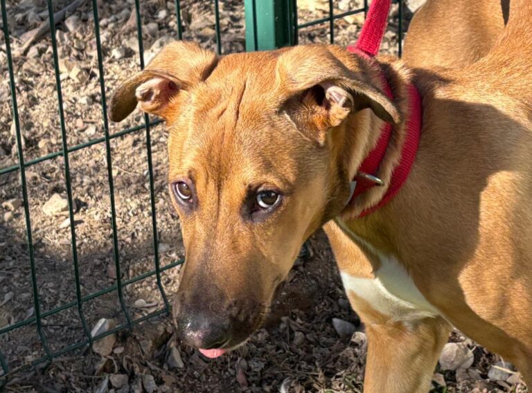 multimedia-foto92014-362-1