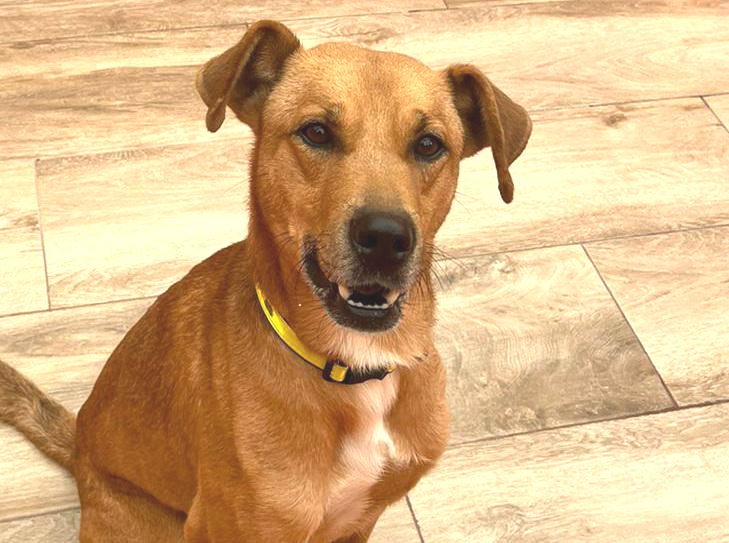 multimedia-foto92028-106-1