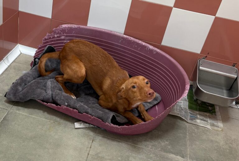 multimedia-foto92030-473-1