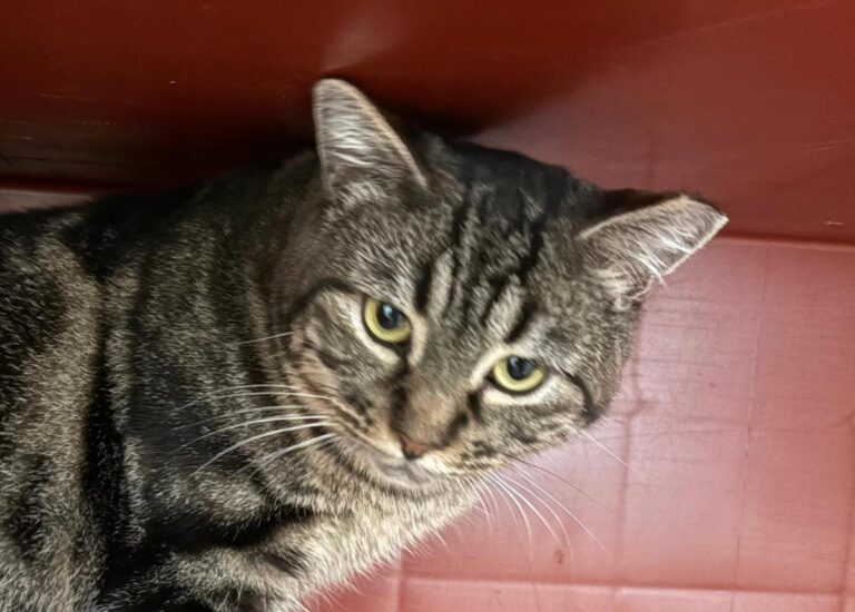 multimedia-foto92037-434-1