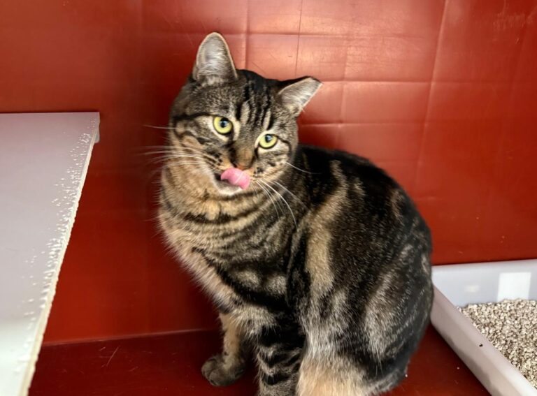 multimedia-foto92038-434-1