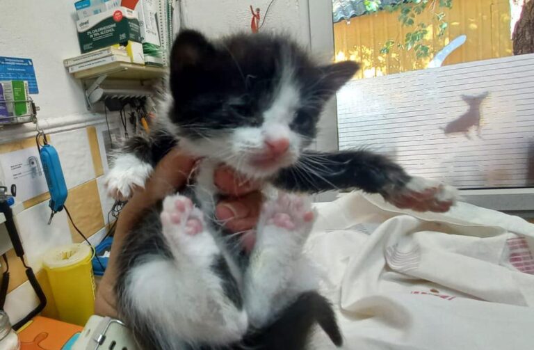 multimedia-foto92116-838-1