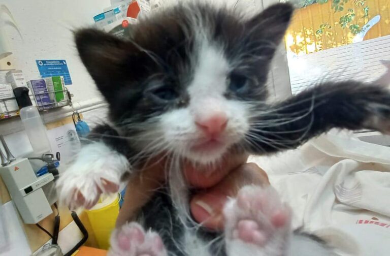 multimedia-foto92118-839-1