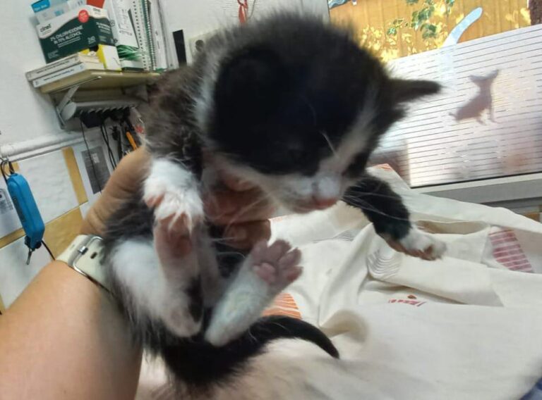 multimedia-foto92120-839-1