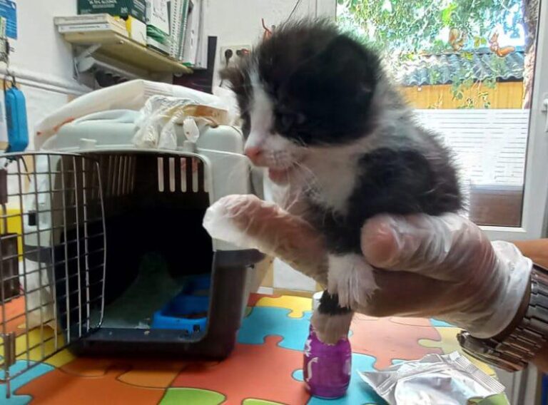 multimedia-foto92121-839-1