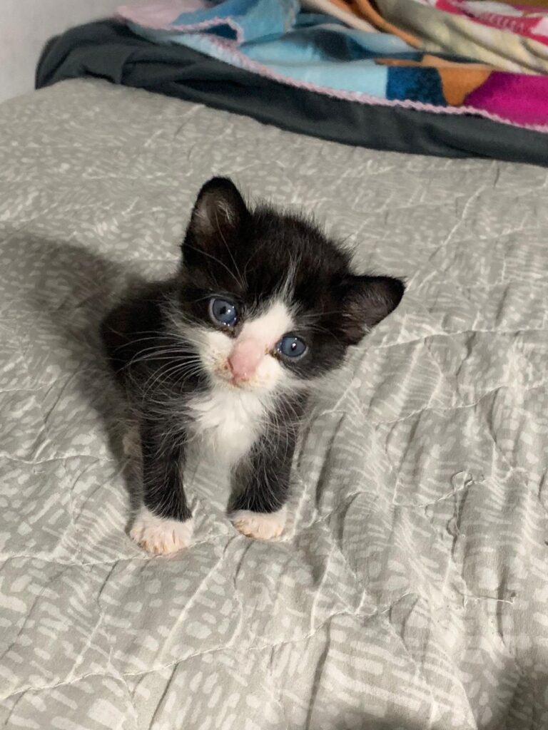 multimedia-foto92122-839-1