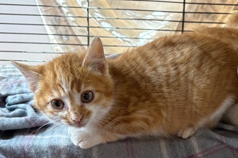 multimedia-foto92143-757-1