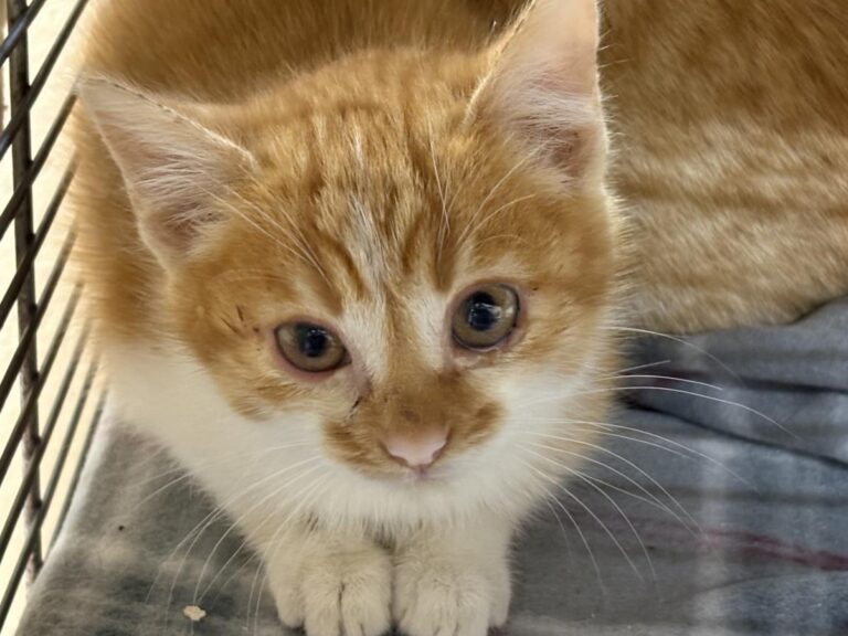 multimedia-foto92144-757-1