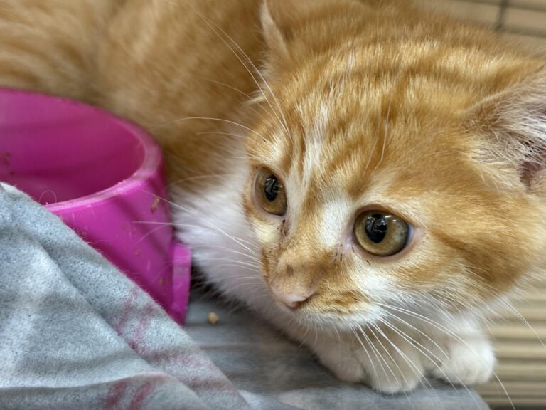 multimedia-foto92146-758-1