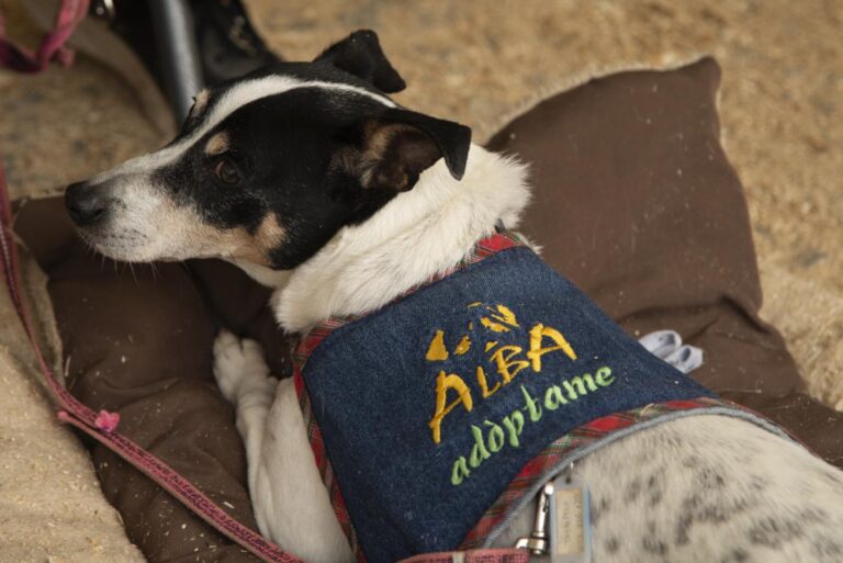 multimedia-foto92164-837-1