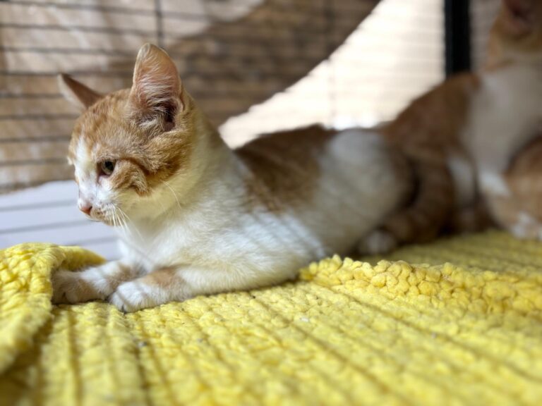 multimedia-foto92169-182-1