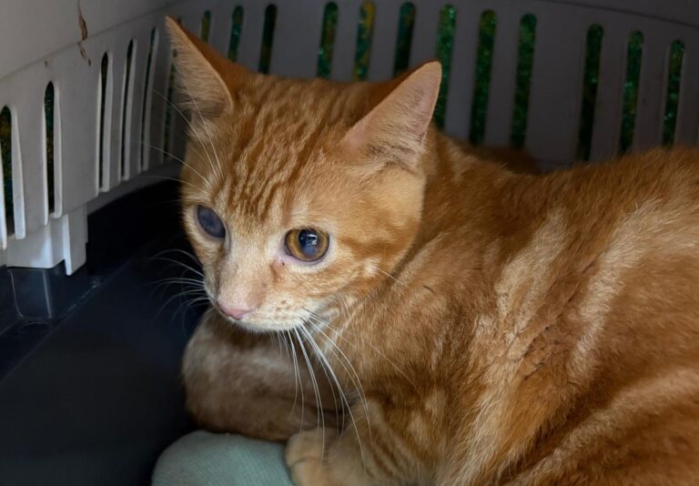 multimedia-foto92176-825-1