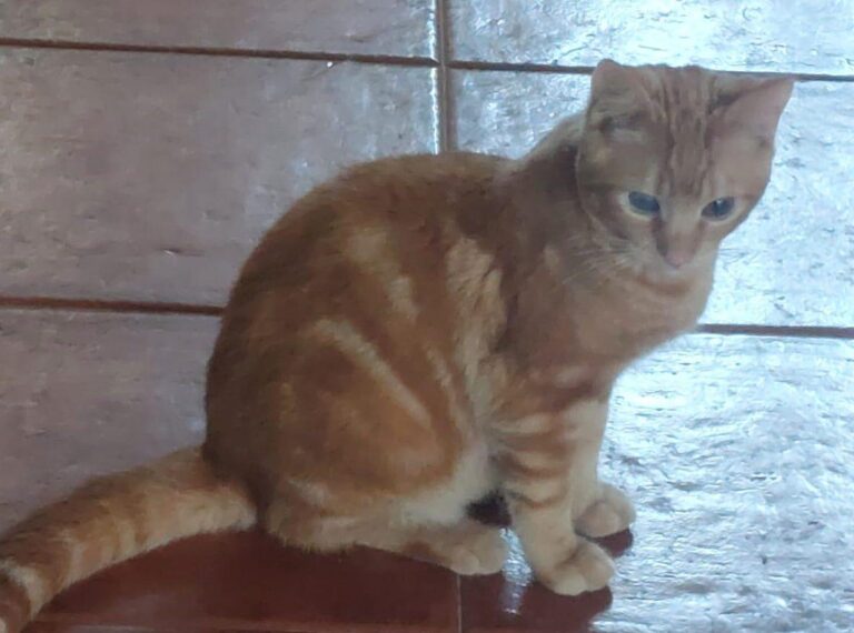 multimedia-foto92178-826-1