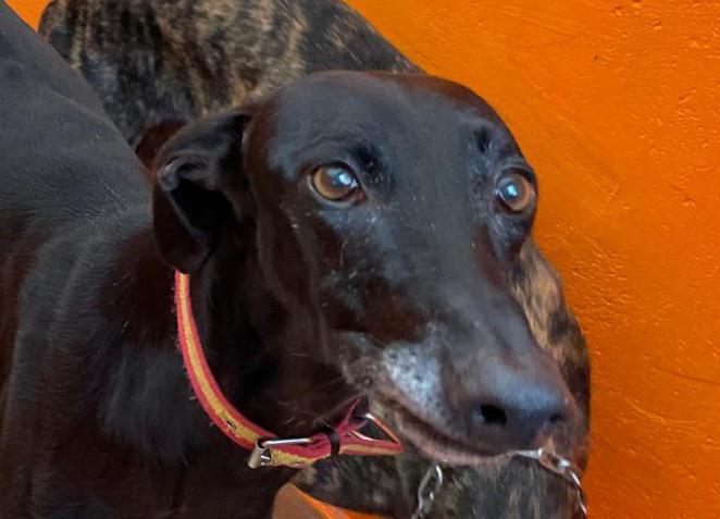 multimedia-foto92184-403-1